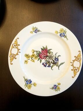 1 VTG EPIAG Czechoslovakia Porcelain Floral Gold Scroll Pattern Dinner Plates